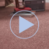 Veneto carpet video  Veneto carpet video
