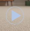 Porto carpet video 