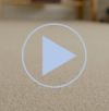Highgate carpet video