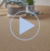 Romeo Carpet collection Video in buttercream