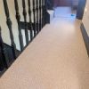 Firefly - Beige Chevron
