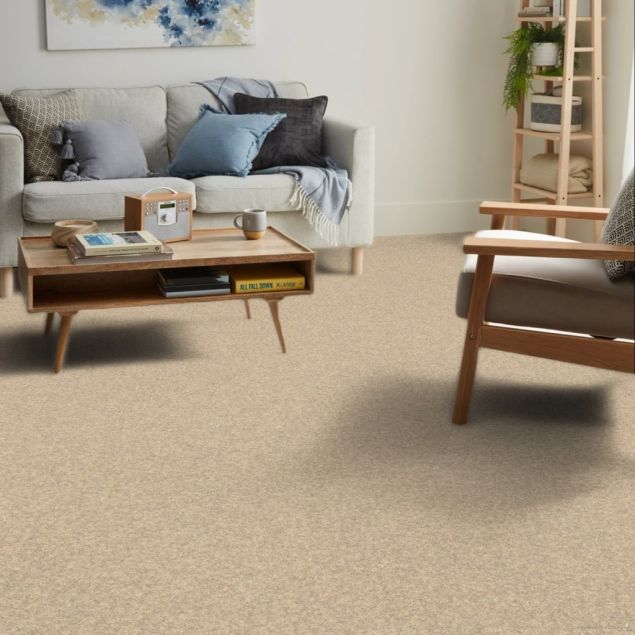 Beige - Roomvo room
