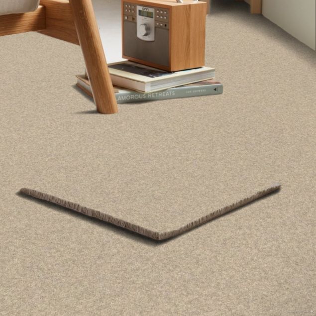 Parchment - Roomvo room