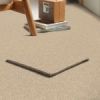 Beige - Roomvo room