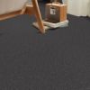 Coal - Roomvo room
