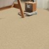 Honey - Roomvo room