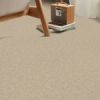 Parchment - Roomvo room