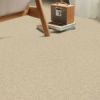 Sand - Roomvo room