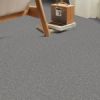 Slate - Roomvo room