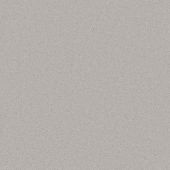 Woodstock Silver Carpet