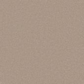 Woodstock Canvas Carpet