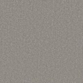 First Impressions Vision Carpet