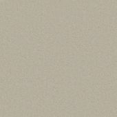 First Impressions Soft Spoken Carpet