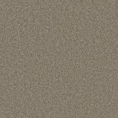 First Impressions Delight Carpet