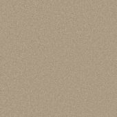 First Impressions Graceful Carpet