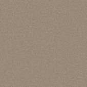 First Impressions Stylish Carpet