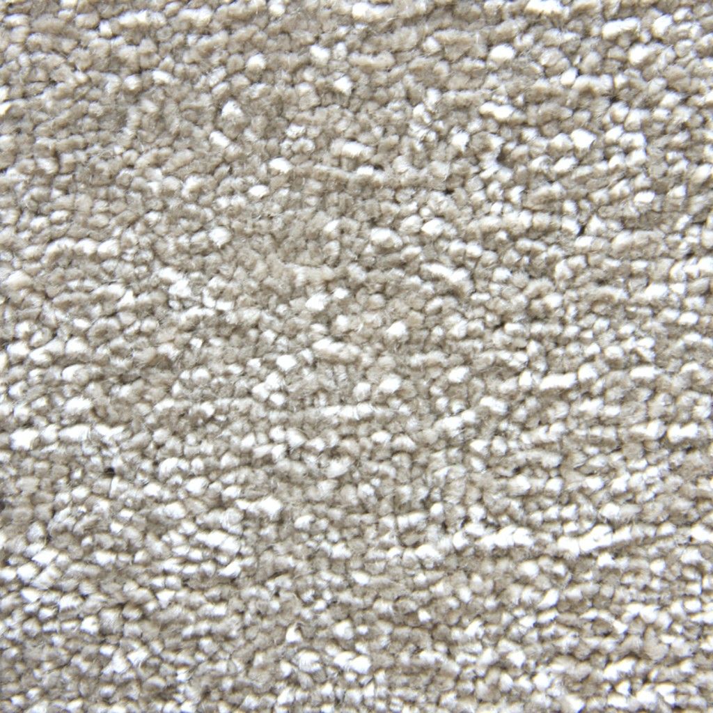 Trinity Carpet Tapi Carpets & Floors