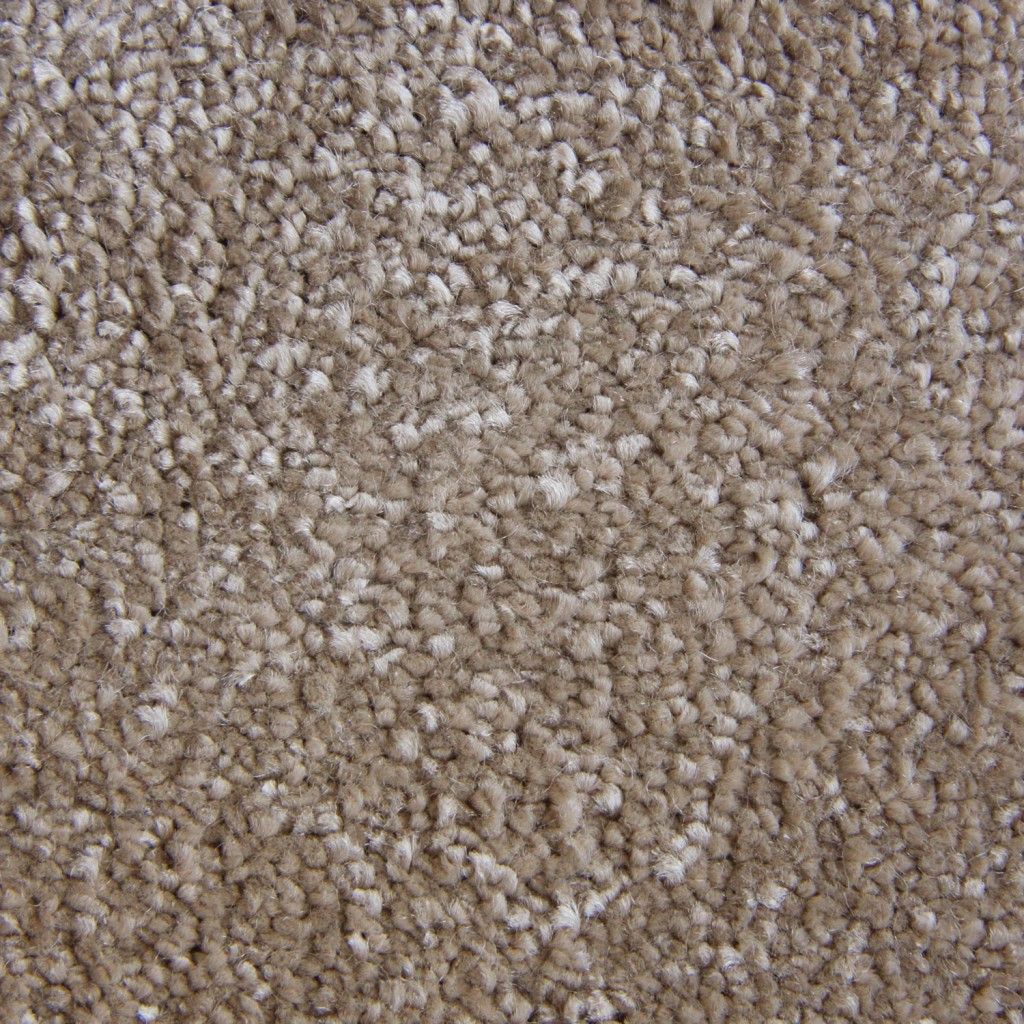 Trinity Carpet Tapi Carpets & Floors