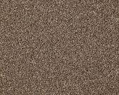 Monaco Cobnut Carpet