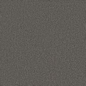 Ambassador Lead Carpet