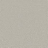 Ambassador Shimmer Carpet