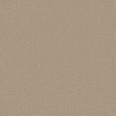 Ambassador Sandy Carpet