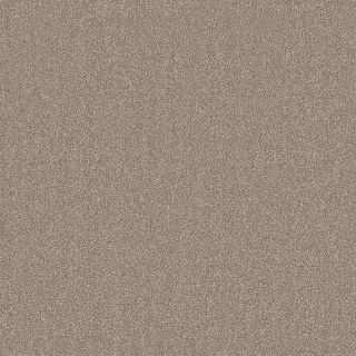Parchment