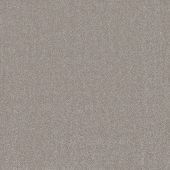 Ambassador Silver Carpet