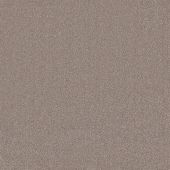 Ambassador Canvas Carpet