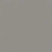 Ambassador Soft Grey Carpet