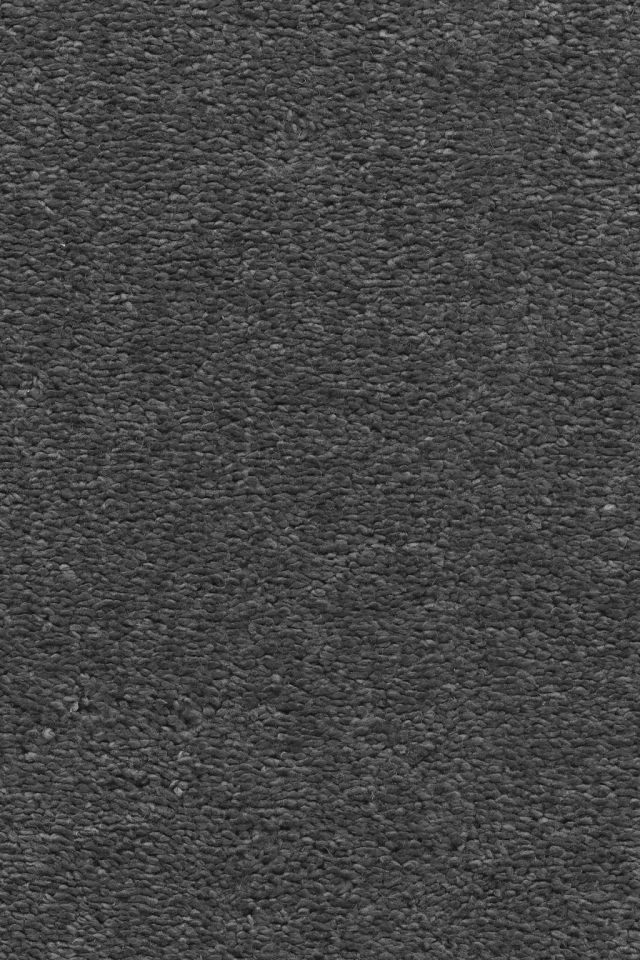 Lotus Carpet Tapi Carpets & Floors