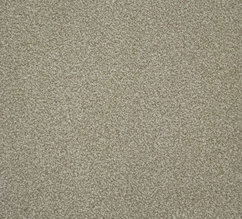 Winchester Carpet Tapi Carpets & Floors