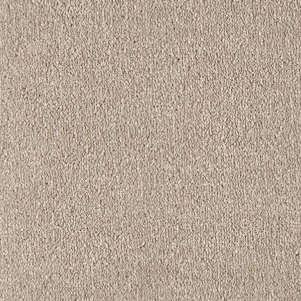 Brisbane Carpet Tapi Carpets & Floors