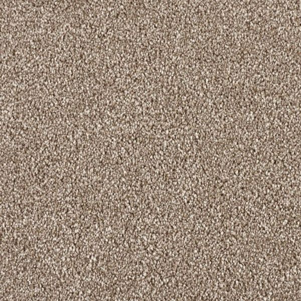 Melbourne Carpet Tapi Carpets & Floors