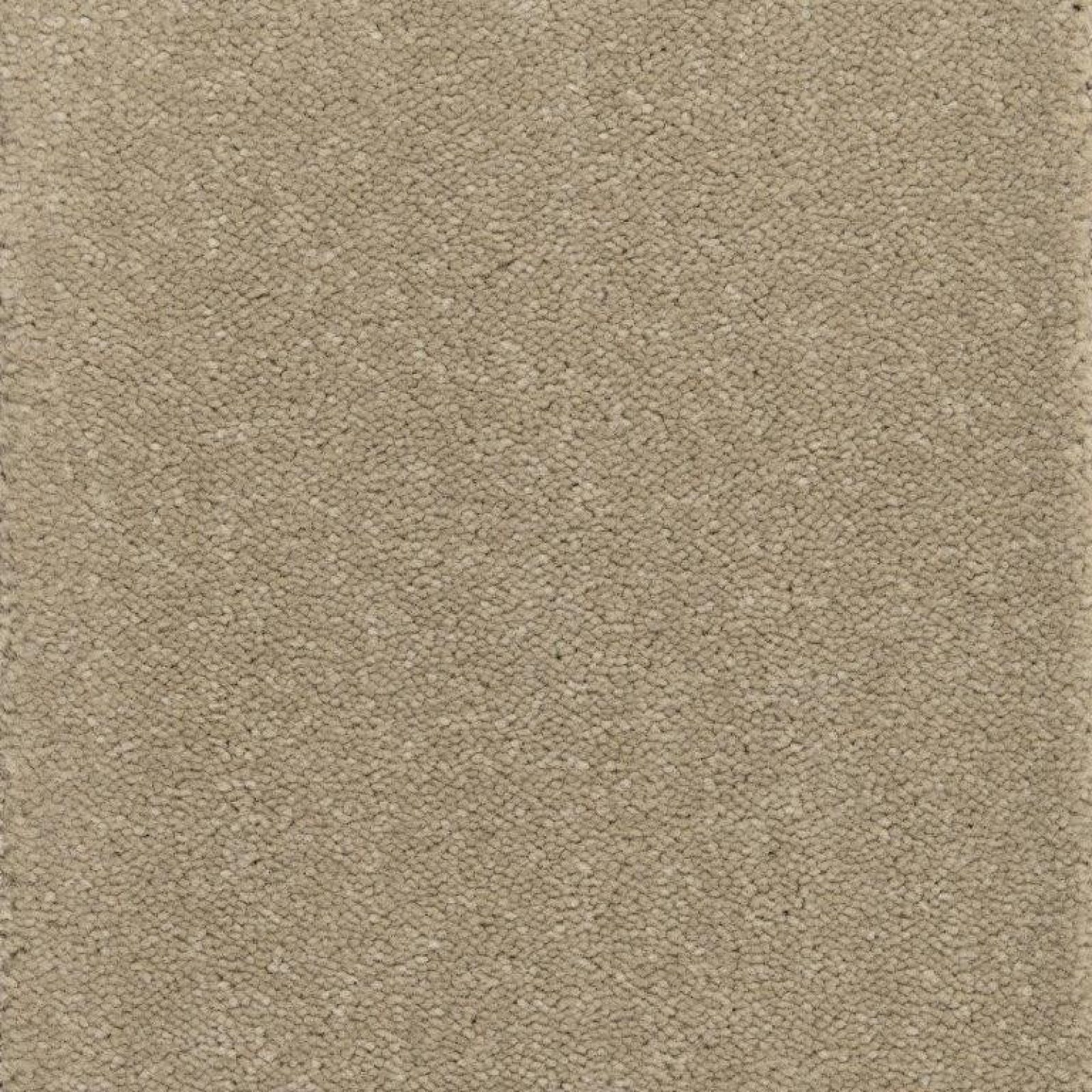 Milton Tufted Carpet Tapi Carpets & Floors