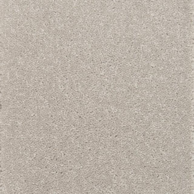 Milton Tufted Carpet Tapi Carpets & Floors