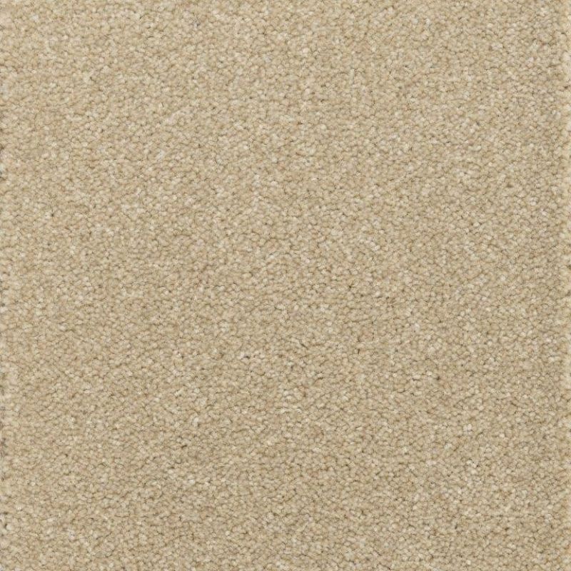 Milton Tufted Carpet Tapi Carpets & Floors