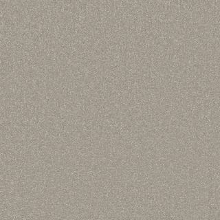 Steel