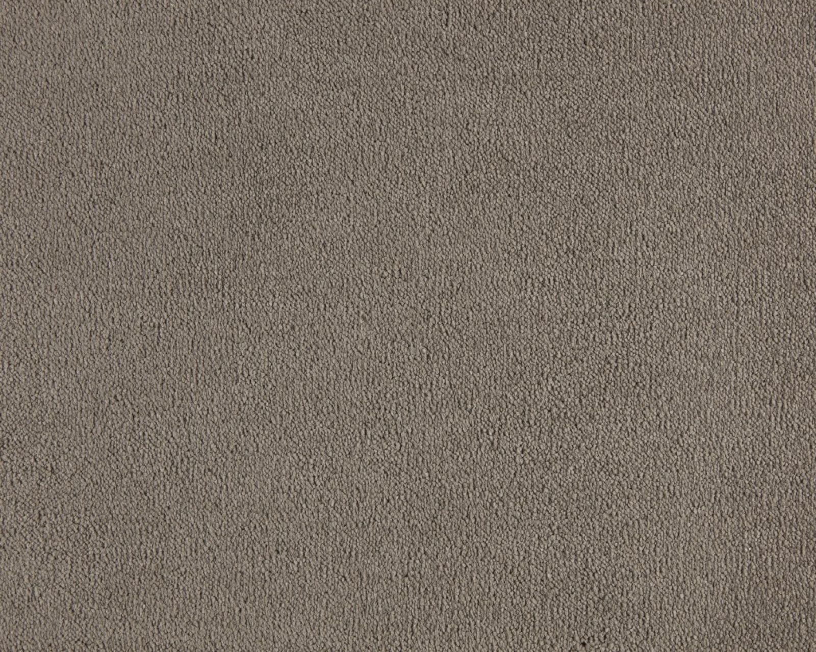 Celeste Saxony Carpet | Tapi Carpets & Floors
