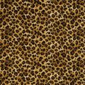 Safari - Leopard Leopard Carpet
