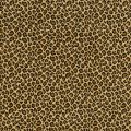 Safari - Ocelot Ocelot Carpet