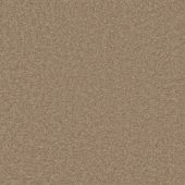 Superb Dune Carpet