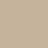 Superb Beige Carpet