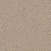 Graceful Mink Carpet