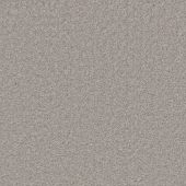 Graceful Silver Carpet