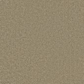 Graceful Lichen Carpet