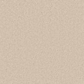 Graceful Cream Carpet