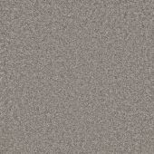 Graceful Gunmetal Carpet