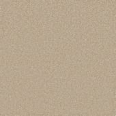 Graceful Beige Carpet