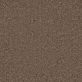 Graceful Cocao Carpet